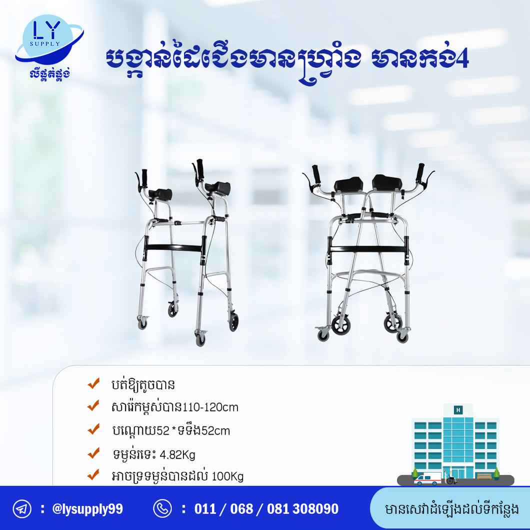 បង្កាន់ដៃរៀនដើរមានហ្វាំងមានកង់4