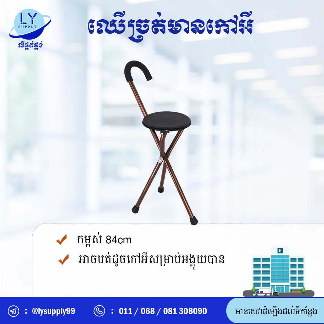 ឈើច្រត់មានកៅអី Walking stick with chair